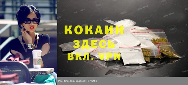 дурь Дмитров