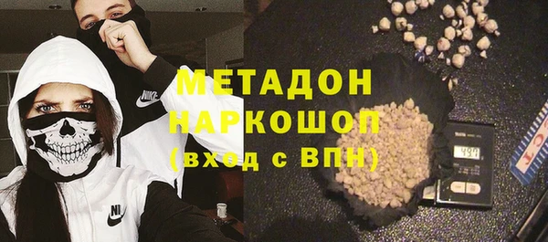 прущие грибы Гусев