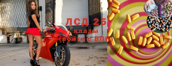 прущие грибы Гусев